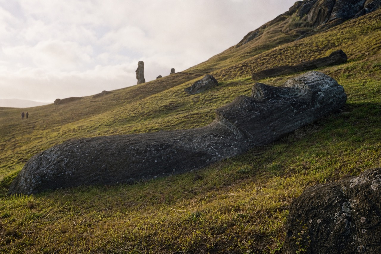 Half-carved moai lying on its back in the volcanic slope of the Rano Raraku quarry under low afternoon light