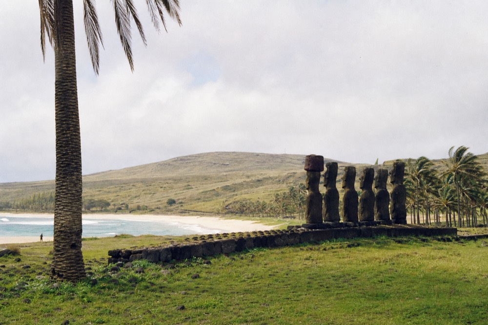 Pale coral sand and turquoise shallows at Anakena beach framed by tall planted palms on a bright afternoon